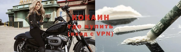 ешки Бородино