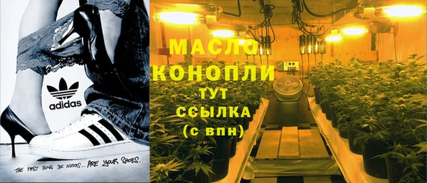 ешки Бородино