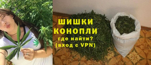 ешки Бородино