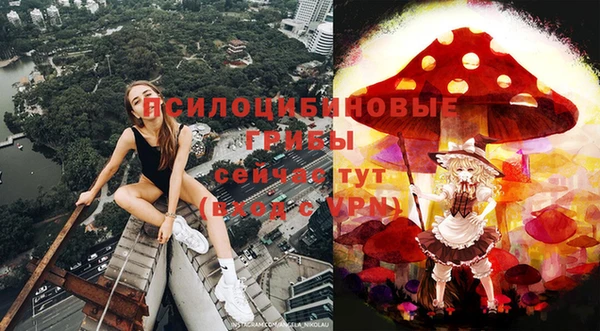 ешки Бородино