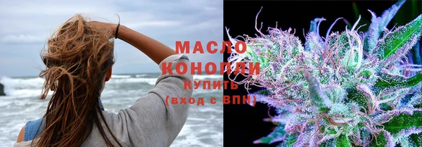 ешки Бородино