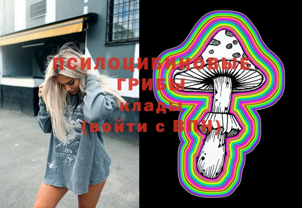 ешки Бородино